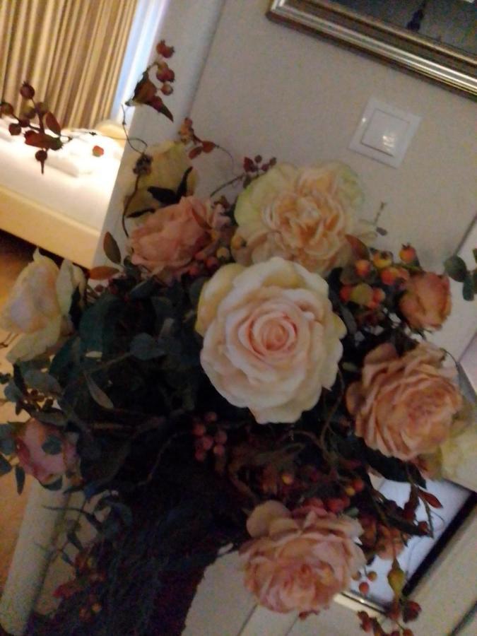 Casa Maria Roses Hotel Risnov Bagian luar foto