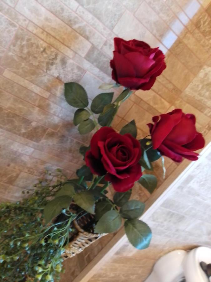 Casa Maria Roses Hotel Risnov Bagian luar foto