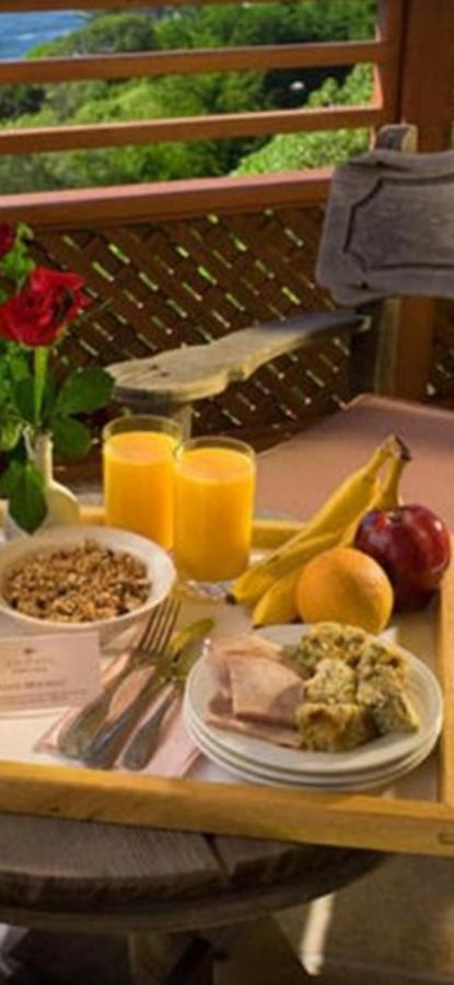 Casa Maria Roses Hotel Risnov Bagian luar foto
